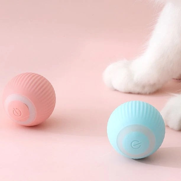 ALCA TOY™ | Intelligentes Spielzeug für Katzen