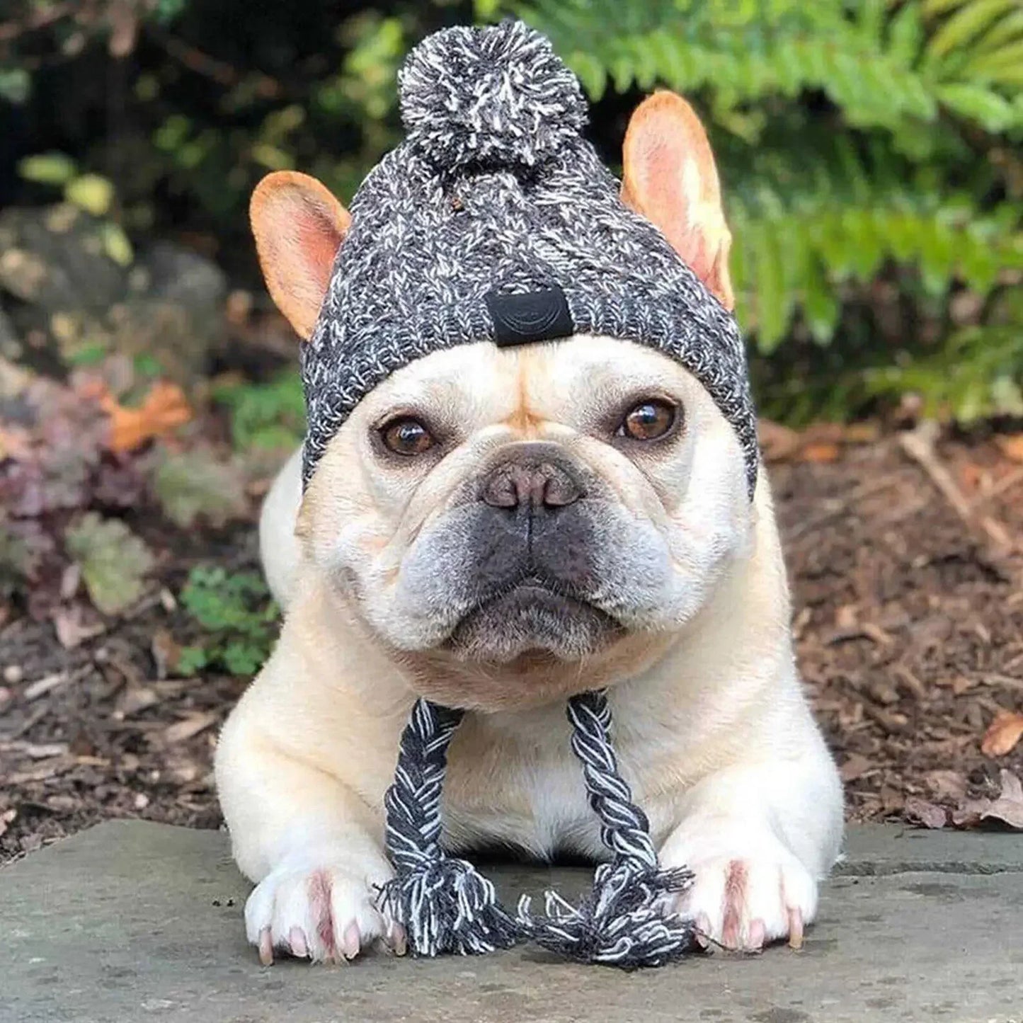 PAW CAP™ | Wintermütze für Hunde