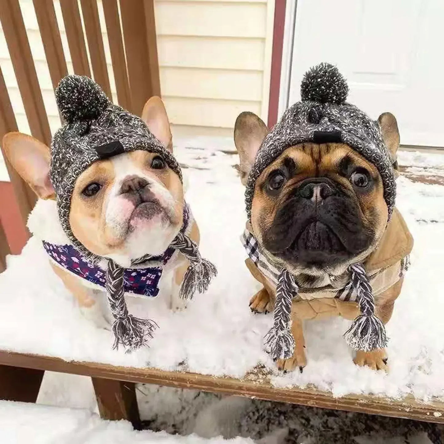 PAW CAP™ | Winter hat for dogs