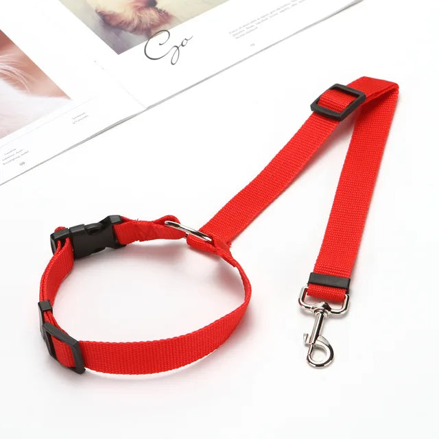 SAFE DOG TRAVEL™ | Collar for Car