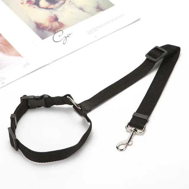SAFE DOG TRAVEL™ | Collar for Car